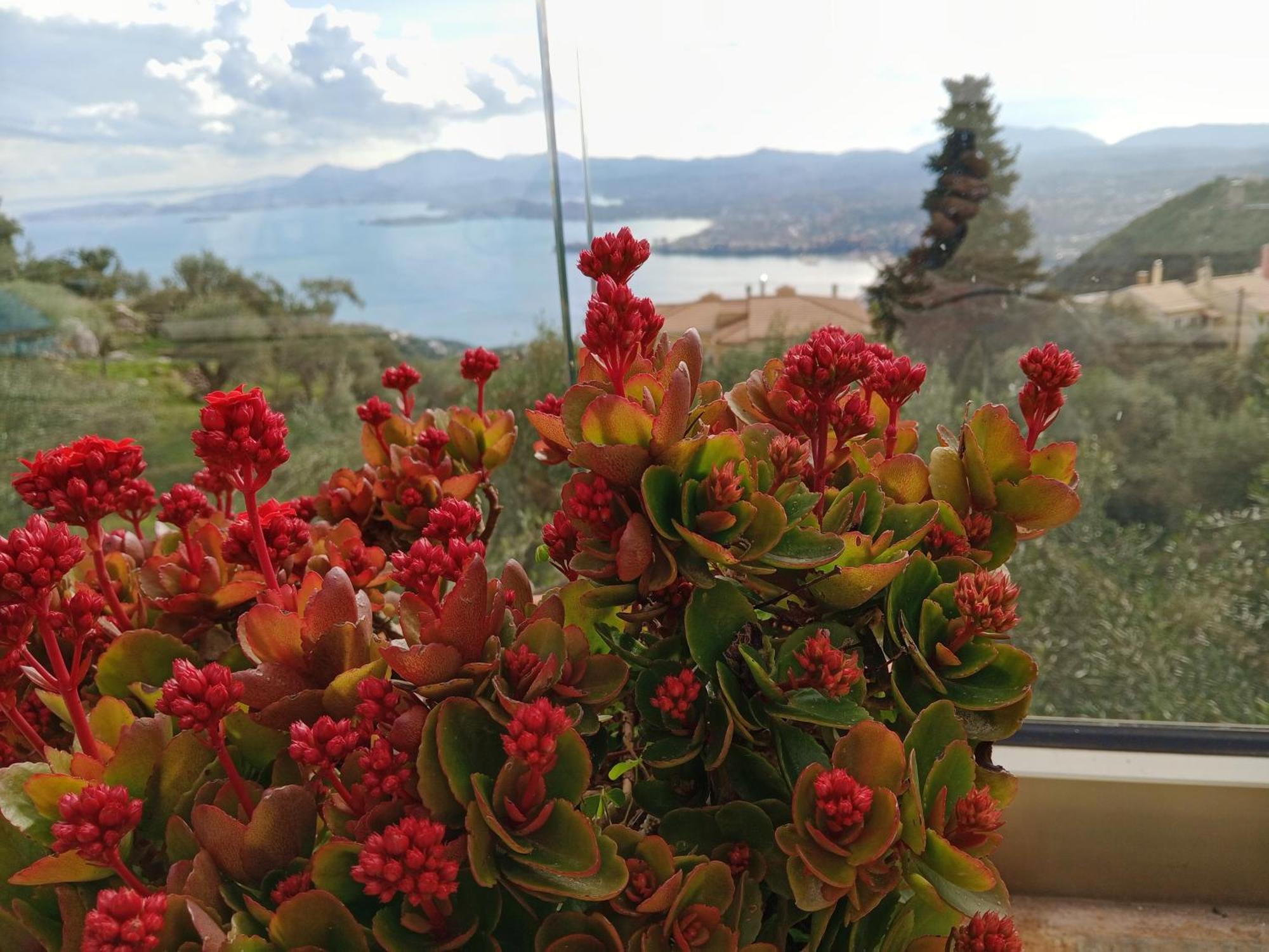 Rizaria Sea View House Villa Spartylas Bagian luar foto
